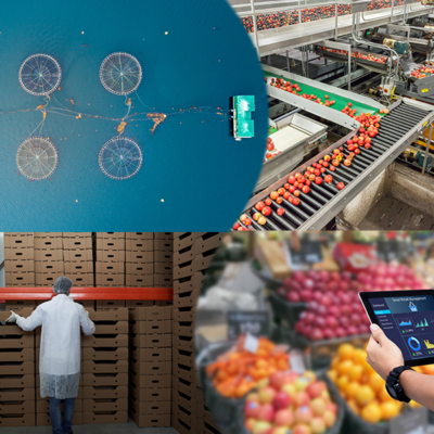Food supply chain collage